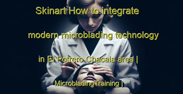 Skinart How to integrate modern microblading technology in El Potrero Chacala area | MicrobladingTraining | MicrobladingClasses | SkinartTraining-Mexico